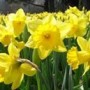 ""There Will Be Growth in the Spring""